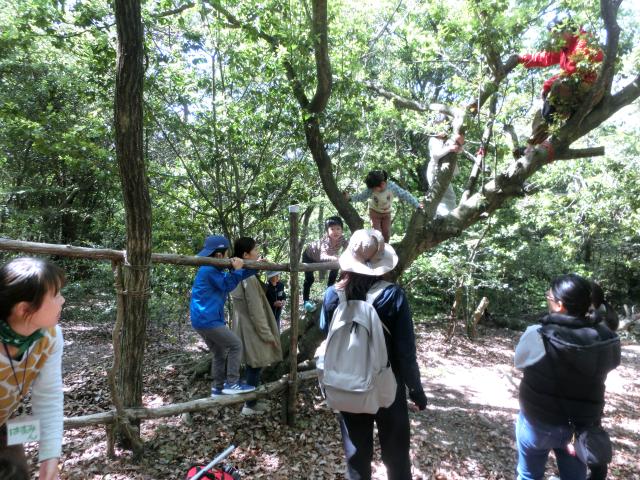 どんぐりころころの森の自然の中で子供たちと遊びます