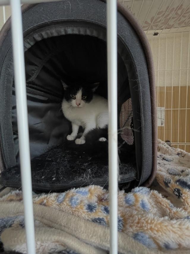 �������i