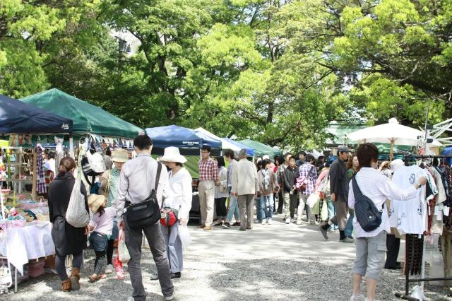 �������i