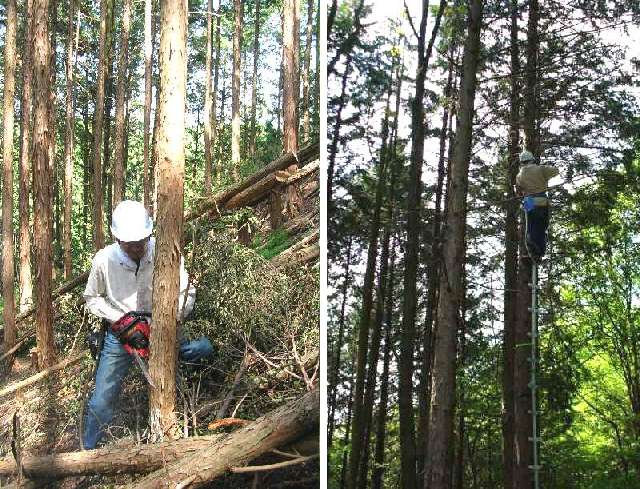 �������i